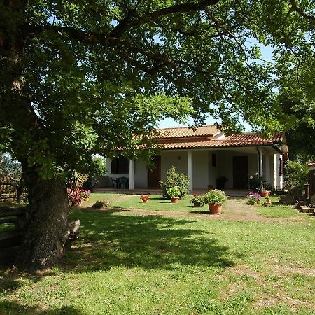 Agriturismo San Vincenzo Sovana Exterior photo